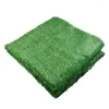 Fleurs décoratives Tapis artificiel Green Fake Synthetic Garden Landscape Layscape Mat Turf Decoration 200 200m Supplies