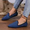 Casual Shoes 2024 Frauen klassische Ballettflats auf spitzen Zehenladungslaafers Weichlosen-Flat Atemable 35-43 rutschen