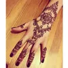 Golecha Black Brown Red White Henna Cones 임시 문신 바디 아트 스티커 Mehndi Body Paint를위한 인도 헤나 문신 페이스트 240415