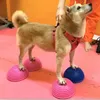 Hundebekleidung Haustier Agility Training liefert Avc Durian Balls Hemisphäre Nervensensorische Balance Muskeldrephie Knie Patella L.