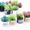 Decoratieve beeldjes 3pcs Doll House Micro Landschap Miniatuur Green Plant Pot Furniture Succulente planten Kleine pot