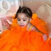 素敵なオレンジ色の赤ちゃんチュールスカートスカートキッズふくらんでいるティアードフリルスカートのための小さな女の子のための誕生日Pography Shoot Elastic Waist 240403