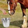 Mugs Horse Feeding Bucket Water Feed Stainless Steel Handle For