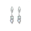 Dange oorbellen modeontwerp maansteen kwastjes laten vallen voor vrouwen charme kristal feest sieraden accessoires geschenken
