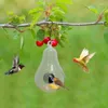 Autres alimentations de fournitures d'oiseaux pour mangeoires à colibri à l'extérieur avec une maison de caméra HD Maison sans fil en temps réel