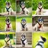 Hondenkragen Harnas Reflective Vest Chest Leow Set Puppy Ademende ketting Outdoor Training Anti Stress Leing Back