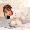 Plush Dolls Kawaii Soft Dog Plush Toy Doll Doll Decoration Decoration Toy Toy لطيف طفل صديقته عيد ميلاد هدية Y240415