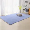 Pads Antislip Living Room Mat Rug Carpet Bedroom Rug Kitchen Mat Carpets for Living Room Bathroom Carpet Kitchen Rug Rugs Home Carpe