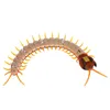 Remoto Control Animal Centipede Creawy-Scrawly Prank Funny Toys Gift per bambini 240408