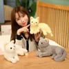 Gefüllte Plüschtiere 30 cm lebensechte siamesische Katze Plüsch gefüllte Tiere Puppen weiche Plüsch Kawaii weiße Katzenspielzeug Simulation Mädchen Kinder Geschenk Home Decor L47