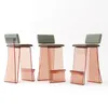 Mutfak Depolama Kahve Salonu Leisure Geri Yüksek Sandalye Akrilik Modern Basit Net Ünlü Nordic Rüzgar Işığı Lüks Stil Bar