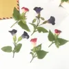 Fleurs décoratives 120pcs côté pressé tarit torenia Fourrieri fleur avec plantes de tige de bijoux d'herbarium signet po