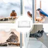 Autres alimentations d'oiseaux Feeder Clear Transparent Window Tray House Pet Auto tas Type d'installation pour les oiseaux