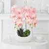 Декоративные цветы Phalaenopsis Искусственный цветочный горшечный шелковый фальшивый набор зеленый растение бонсай