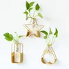 Vases Nordic Vase Vase Home Decor Golden Glass Hydroponic Plant Plant Ligne Fleurs Ornement Garden Art Décoration