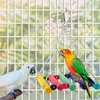 Autres fournitures d'oiseau chinchilla en bois pont pont plate-forme jouet 3 pcs de jeu de perroquet sûr stand de petits animaux jouets avec crochets