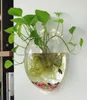 Terrarium Ball Globe Shape Clear Hanging Glass Vase Flower Planter Pots Wall Fish Tank Aquarium Container Homw Decor247h7294848