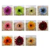 装飾的な花10pcsランダムカラーフェイクフラワーステム