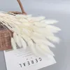 Decoratieve bloemen Natuurlijke gedroogde bloemen Pampas Reed Tail Grass Gem Wedding Festival Party Decoratie Boho Noords Home Decor