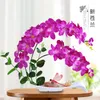 Dekorativa blommor Phalaenopsis Simulering Flower Bonsai Suit Office Artificial Living Room Dining Table inomhus Hemma Pottade ornament