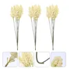 Dekorative Blumen 18pcs luft getrocknetes Blütenarrangement natürliche Weizenohren Grasstrauß trocken für Wohnkultur Vase Blumen