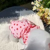 Vestuário de cachorro de cachorro Salia de morango Pet Summer Princesa Roupas fina Teddy Pretty Fruit Dress Small Casual Dresses