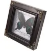 Frames Butterfly Specimen Po Frame Bedroom Decor Home Ornament Wall-mounted Decoration Display Wooden Pendant