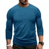 Autumn and Winter New Amikaki Long Sleeved Round Neck T-shirt for Men, American Style Base Shirt for Men