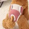 Hundebekleidung Physiologische Hose Windel für Anti-Nuisance-Sicherheit kurzer Teddy Girl Welpe Menstruationshose wiederverwendbar