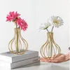Vases de bouteille en vase à fleurs nordiques pour décoration de plate-forme du bureau à domicile