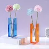 Vasos vaso nórdico vaso arco -íris colorido acrílico contêiner panela floral para decoração de sala de estar móveis para casa