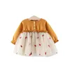 Robes de fille 6m-3 ans bébé printemps pour princesse dentelle de lacet premier anniversaire en mailles rouges tenues vêtements 2024