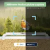 Autres fournitures d'oiseau AI Reconnaissance Solaire Panneau Wild Birds Fichers pour la commande d'application Outdoors Smart Watcher Feeder avec appareil photo
