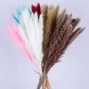 Flores decorativas 15 PCs Flor seca Reed palheta eterna pampas grama boho decoração caseira natal 2024 Bouque de casamento nupcial