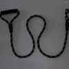 犬の襟のナイロンハーネスリーシュミディアムラージリードペットトレーニングランニングセーフティマリアクライミングロープ供給複数の色