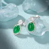 Boucles d'oreilles Stud Roxi 925 Sterling Silver Green Zircon Piercing Earge pour femmes coréen Party Wear Drop Bielry Gifts Bijoux Femme