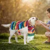 Vestuário para cães Cinco de Mayo Costume de animais de estimação multicoloria atraente Poncho mexicano