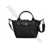 Prima borsa portatile con cerniera singola in inglese Nuova Borsa Hobo con spalla di lusso PURA BIANCA CROVE GENERAZIONE Friendly Generazione Dumpling Strap Rimovibile.