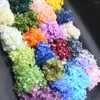 Fleurs décoratives 5g / lot Hortensia éternelle Fleur séchée Natural Natural Fresh Tiches Pièces préservées pour ongles DIY