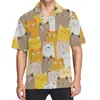 Chemises décontractées pour hommes 3d imprimé graphique hawaïen pour hommes à manches courtes bouton de chemise de plage aloha