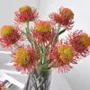 Fleurs décoratives Chrysanthemum Ball Fleur Fleur de Bouquet de leucospermum Plastique Plastic Fake Fake Wedding Arrangement Party Home Garden Decor