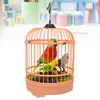 Другие птицы поставляют игрушки, щебетающие клетку Индуктивный голосовой контроль маленький попугай, детская птичья клетчатка, ребенок