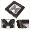 Frames Butterfly Specimen Po Frame Bedroom Decor Home Ornament Wall-mounted Decoration Display Wooden Pendant