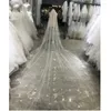 Bruidssluiers glitters Pearls Champange Flowers Kristallen Lang 3x4 meter