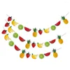 Party Decoration 3 Set Fruits Themed Pull Flag Fruit Summer Banner Paper