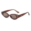 Sunglasses 2024 Trend Brown Green Frame Cat Eye Women Brand Pink Cateye Rivets Shades Eyewear Men Sun Glasses Female Male UV400