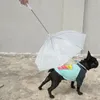 Colliers de chien alimente le parapluie amazon en peluche petite avec une laisse de corde de traction marche