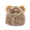 Костюмы кошек забавные домашние животные кепка Lion Wig Fancy Costume Pupm