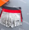 Ice Silk Boxers Mens Letter Printed Underpants Designer Sexig andningsbara underkläder Briefs