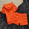 Velvet Tracksuits kurzärmeliger Sport -Set Juicy Damen Shorts Summer Reißverschluss Kapuze Slim Jogging Shorts Handtuch Materia Frauen zwei Stücke Sets